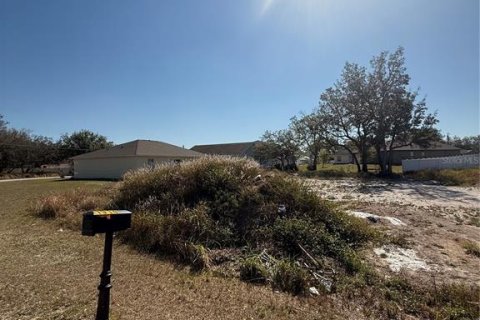 Land in Kissimmee, Florida № 1608625 - photo 3
