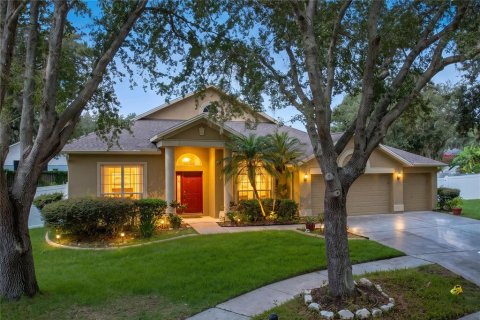 House in Valrico, Florida 5 bedrooms, 313.27 sq.m. № 2321399