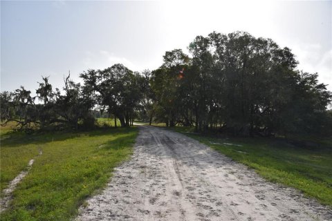 House in Old Town, Florida 3 bedrooms, 153.29 sq.m. № 1640417 - photo 8