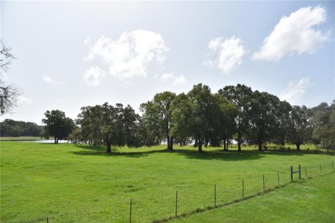 House in Old Town, Florida 3 bedrooms, 153.29 sq.m. № 1640417 - photo 4