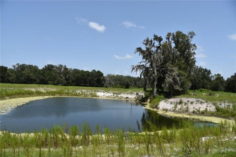House in Old Town, Florida 3 bedrooms, 153.29 sq.m. № 1640417 - photo 11