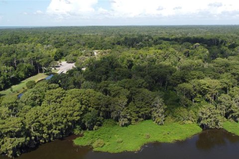 Land in Gainesville, Florida № 1820761 - photo 4