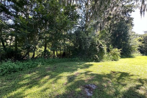 Land in Gainesville, Florida № 1820761 - photo 8