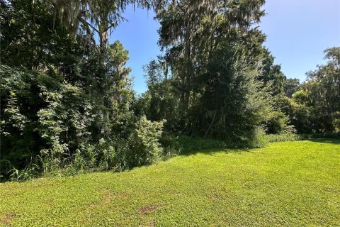 Land in Gainesville, Florida № 1820761 - photo 9