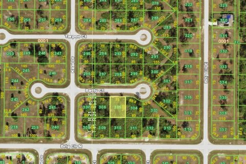 Land in Placida, Florida № 2206839 - photo 2