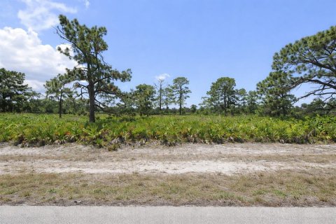 Land in Placida, Florida № 2206839