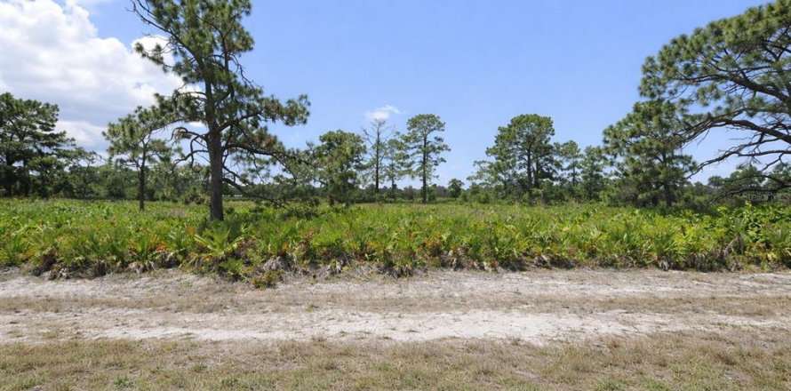 Land in Placida, Florida № 2206839