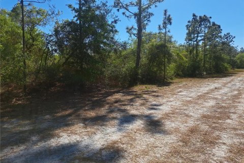 Land in Indian lake estates, Florida № 2159467 - photo 5