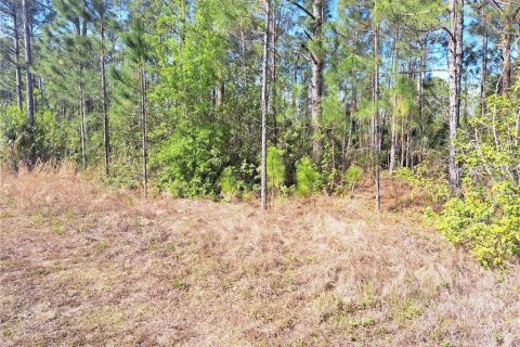 Land in Indian lake estates, Florida № 2159467 - photo 4