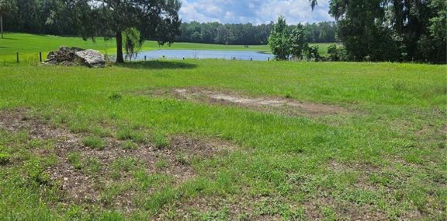 Terreno en Ocala, Florida № 1688455
