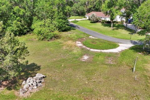 Terreno en venta en Ocala, Florida № 1688455 - foto 15