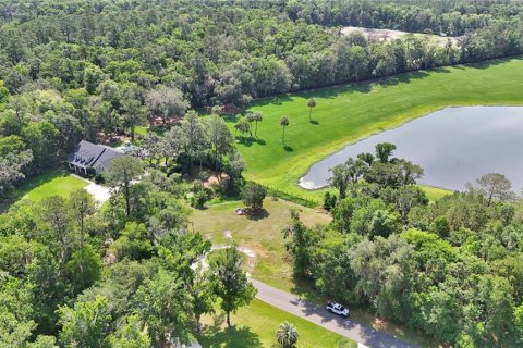 Terreno en venta en Ocala, Florida № 1688455 - foto 8