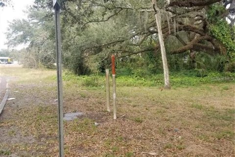 Terrain à vendre à Seffner, Floride № 1716772 - photo 3