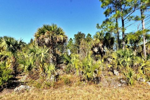 Land in North Port, Florida № 2159220