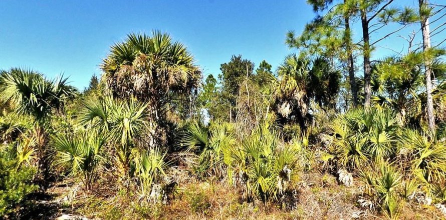 Land in North Port, Florida № 2159220
