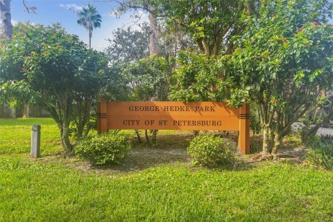 Villa ou maison à vendre à Saint Petersburg, Floride: 3 chambres, 86.96 m2 № 2150974 - photo 25
