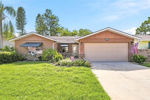 Villa ou maison à New Port Richey, Floride 2 chambres, 123.93 m2 № 2234869