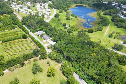 Terreno en venta en Zellwood, Florida № 1815143 - foto 4