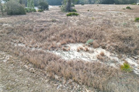Terrain à Kissimmee, Floride № 2161128