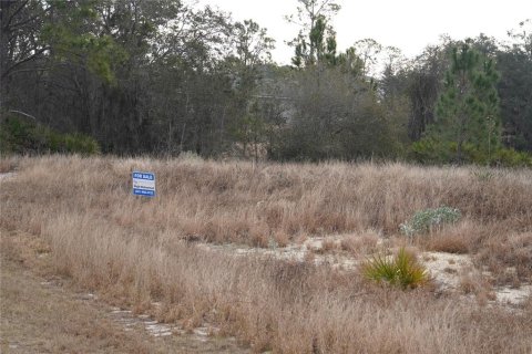 Terrain à vendre à Kissimmee, Floride № 2161128 - photo 8