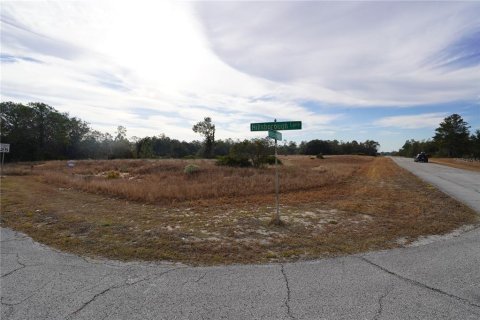 Terrain à vendre à Kissimmee, Floride № 2161128 - photo 4