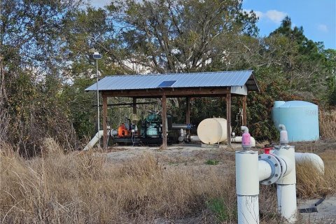 Land in Sebring, Florida № 2416434 - photo 4