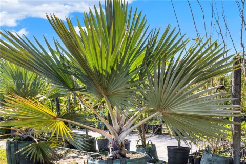 Immobilier commercial à Miami, Floride № 2037601