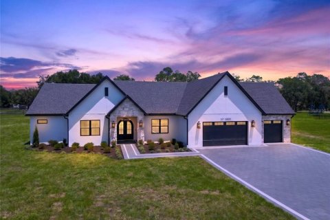 Villa ou maison à vendre à Dade City, Floride: 4 chambres, 311.32 m2 № 2209085 - photo 4