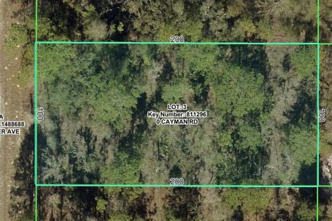 Land in Brooksville, Florida № 2199753