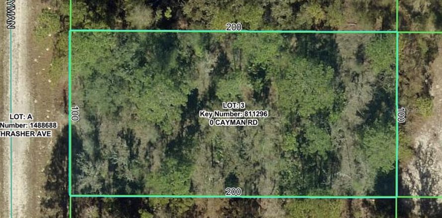 Land in Brooksville, Florida № 2199753