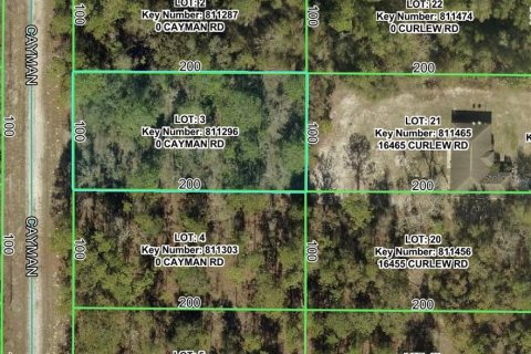 Land in Brooksville, Florida № 2199753 - photo 2