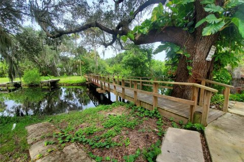 Commercial property in Punta Gorda, Florida 278.71 sq.m. № 2236459 - photo 4