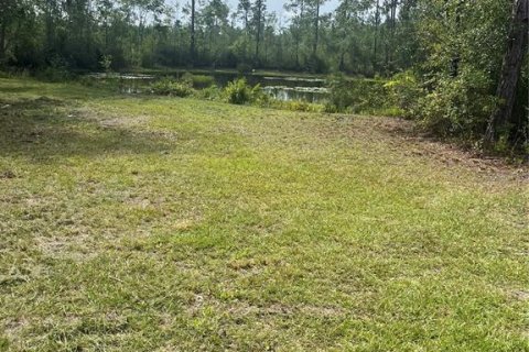 Land in Sanderson, Florida № 1883208 - photo 1