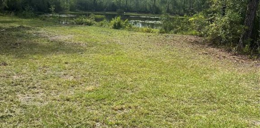 Land in Sanderson, Florida № 1883208