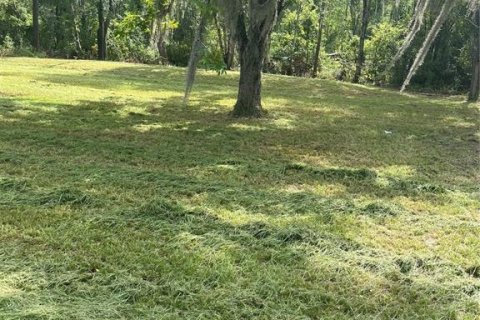 Land in Sanderson, Florida № 1883208 - photo 2