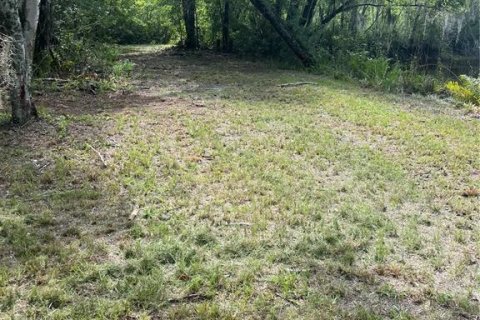 Land in Sanderson, Florida № 1883208 - photo 8