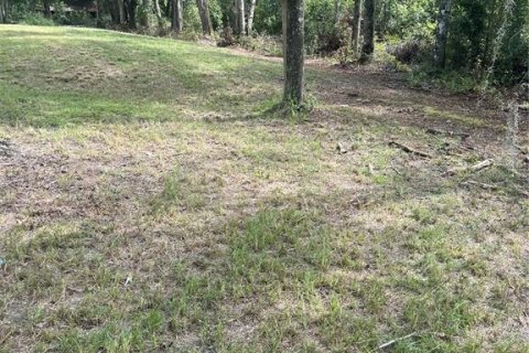 Land in Sanderson, Florida № 1883208 - photo 7