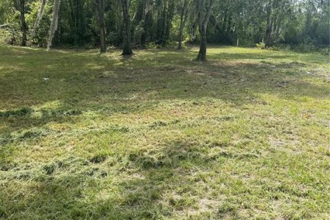 Land in Sanderson, Florida № 1883208 - photo 5
