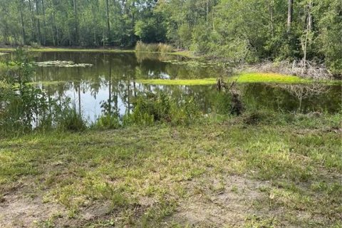 Land in Sanderson, Florida № 1883208 - photo 3