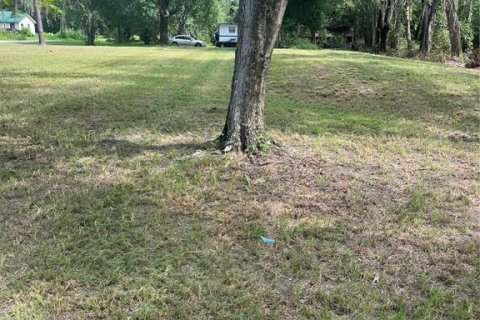 Land in Sanderson, Florida № 1883208 - photo 6