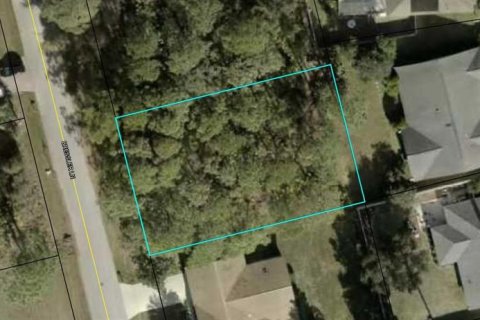 Land in Palm Coast, Florida № 1894616 - photo 1