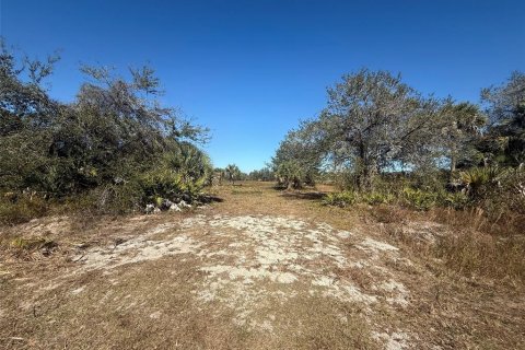 Land in Okeechobee, Florida № 2125697 - photo 16