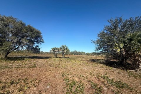 Land in Okeechobee, Florida № 2125697 - photo 11