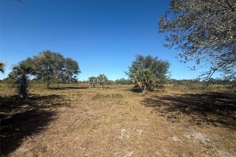 Land in Okeechobee, Florida № 2125697 - photo 14