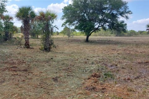 Land in Okeechobee, Florida № 2125697 - photo 4