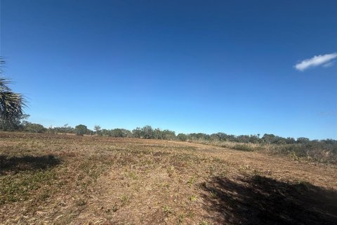 Land in Okeechobee, Florida № 2125697 - photo 10