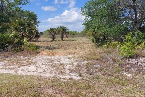 Land in Okeechobee, Florida № 2125697 - photo 5
