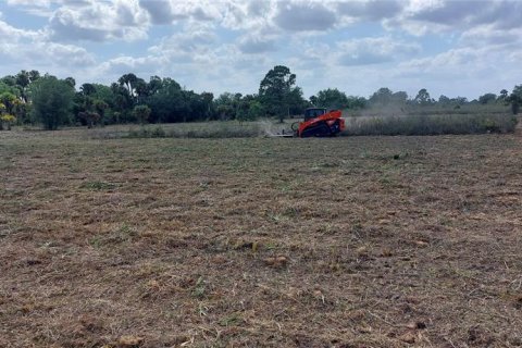Land in Okeechobee, Florida № 2125697 - photo 6