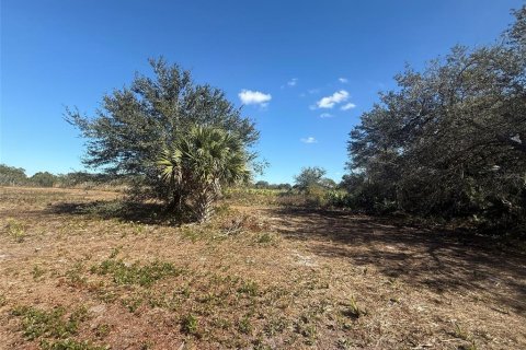 Land in Okeechobee, Florida № 2125697 - photo 2