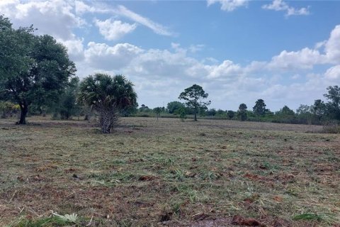 Land in Okeechobee, Florida № 2125697 - photo 7